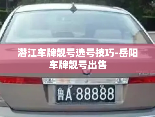 潜江车牌靓号选号技巧-岳阳车牌靓号出售-第2张图片-七号汽车选号 潜江车牌靓号选号技巧-岳阳车牌靓号出售-第2张图片-七号汽车选号