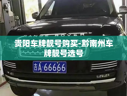 贵阳车牌靓号购买-黔南州车牌靓号选号-第4张图片-七号汽车选号 贵阳车牌靓号购买-黔南州车牌靓号选号-第4张图片-七号汽车选号
