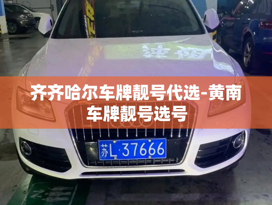 齐齐哈尔车牌靓号代选-黄南车牌靓号选号-第3张图片-七号汽车选号 齐齐哈尔车牌靓号代选-黄南车牌靓号选号-第3张图片-七号汽车选号