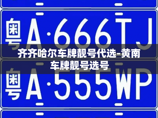 齐齐哈尔车牌靓号代选-黄南车牌靓号选号-第2张图片-七号汽车选号 齐齐哈尔车牌靓号代选-黄南车牌靓号选号-第2张图片-七号汽车选号