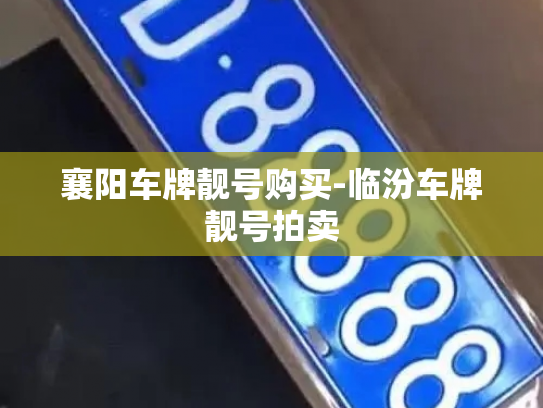 襄阳车牌靓号购买-临汾车牌靓号拍卖-第2张图片-七号汽车选号 襄阳车牌靓号购买-临汾车牌靓号拍卖-第2张图片-七号汽车选号