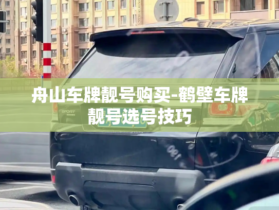 舟山车牌靓号购买-鹤壁车牌靓号选号技巧-第4张图片-七号汽车选号 舟山车牌靓号购买-鹤壁车牌靓号选号技巧-第4张图片-七号汽车选号