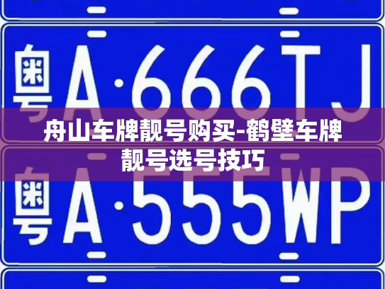 舟山车牌靓号购买-鹤壁车牌靓号选号技巧-第2张图片-七号汽车选号 舟山车牌靓号购买-鹤壁车牌靓号选号技巧-第2张图片-七号汽车选号