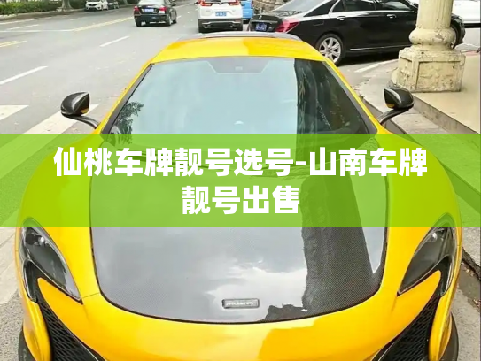仙桃车牌靓号选号-山南车牌靓号出售-第3张图片-七号汽车选号