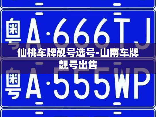 仙桃车牌靓号选号-山南车牌靓号出售-第4张图片-七号汽车选号