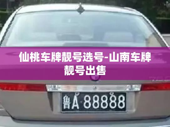 仙桃车牌靓号选号-山南车牌靓号出售-第2张图片-七号汽车选号