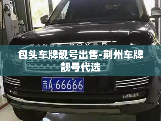 包头车牌靓号出售-荆州车牌靓号代选-第3张图片-七号汽车选号 包头车牌靓号出售-荆州车牌靓号代选-第3张图片-七号汽车选号