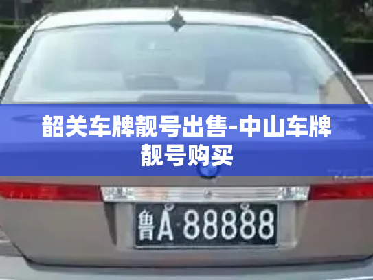 韶关车牌靓号出售-中山车牌靓号购买-第3张图片-七号汽车选号 韶关车牌靓号出售-中山车牌靓号购买-第3张图片-七号汽车选号