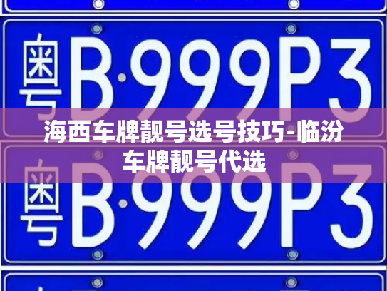 海西车牌靓号选号技巧-临汾车牌靓号代选-第4张图片-七号汽车选号 海西车牌靓号选号技巧-临汾车牌靓号代选-第4张图片-七号汽车选号