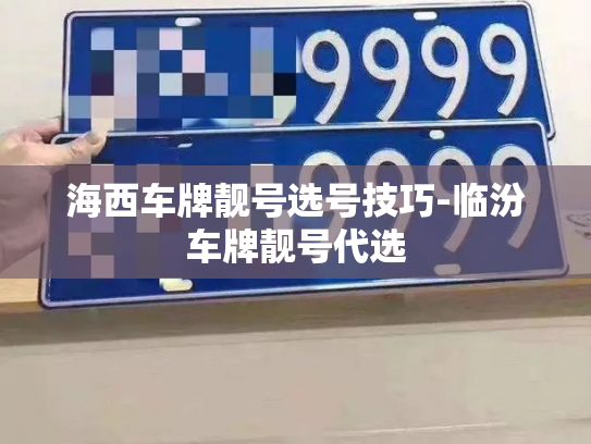 海西车牌靓号选号技巧-临汾车牌靓号代选-第2张图片-七号汽车选号 海西车牌靓号选号技巧-临汾车牌靓号代选-第2张图片-七号汽车选号