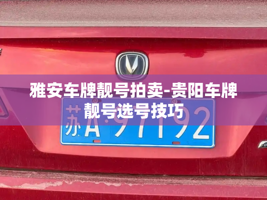 雅安车牌靓号拍卖-贵阳车牌靓号选号技巧-第3张图片-七号汽车选号 雅安车牌靓号拍卖-贵阳车牌靓号选号技巧-第3张图片-七号汽车选号