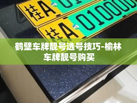 鹤壁车牌靓号选号技巧-榆林车牌靓号购买-第2张图片-七号汽车选号 鹤壁车牌靓号选号技巧-榆林车牌靓号购买-第2张图片-七号汽车选号
