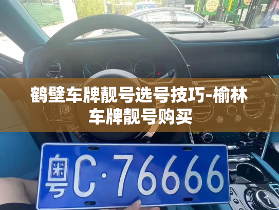 鹤壁车牌靓号选号技巧-榆林车牌靓号购买-第3张图片-七号汽车选号 鹤壁车牌靓号选号技巧-榆林车牌靓号购买-第3张图片-七号汽车选号