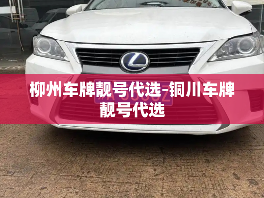 柳州车牌靓号代选-铜川车牌靓号代选-第3张图片-七号汽车选号 柳州车牌靓号代选-铜川车牌靓号代选-第3张图片-七号汽车选号