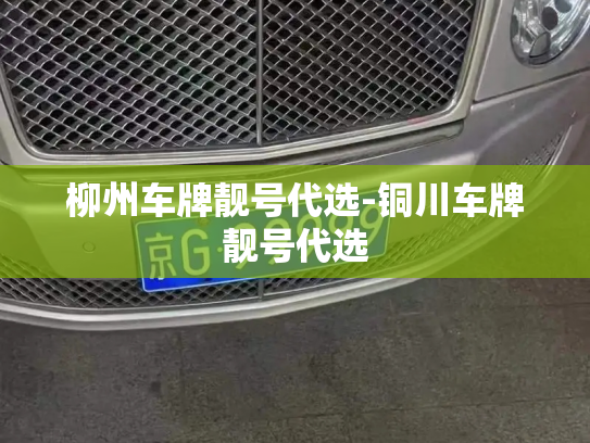 柳州车牌靓号代选-铜川车牌靓号代选-第2张图片-七号汽车选号 柳州车牌靓号代选-铜川车牌靓号代选-第2张图片-七号汽车选号