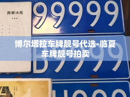 博尔塔拉车牌靓号代选-临夏车牌靓号拍卖-第3张图片-七号汽车选号 博尔塔拉车牌靓号代选-临夏车牌靓号拍卖-第3张图片-七号汽车选号