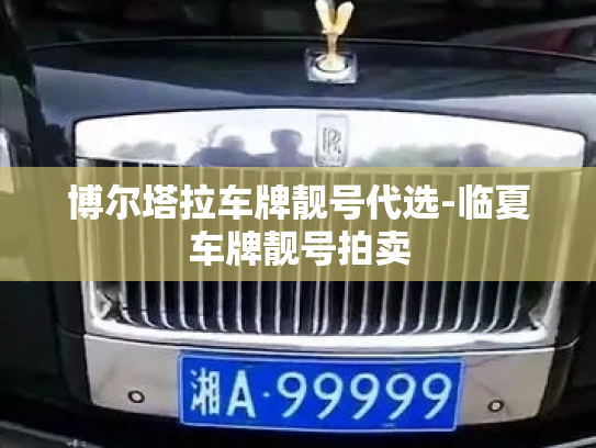 博尔塔拉车牌靓号代选-临夏车牌靓号拍卖-第2张图片-七号汽车选号 博尔塔拉车牌靓号代选-临夏车牌靓号拍卖-第2张图片-七号汽车选号