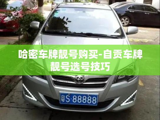 哈密车牌靓号购买-自贡车牌靓号选号技巧-第3张图片-七号汽车选号