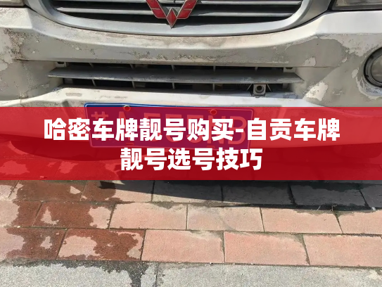 哈密车牌靓号购买-自贡车牌靓号选号技巧-第4张图片-七号汽车选号