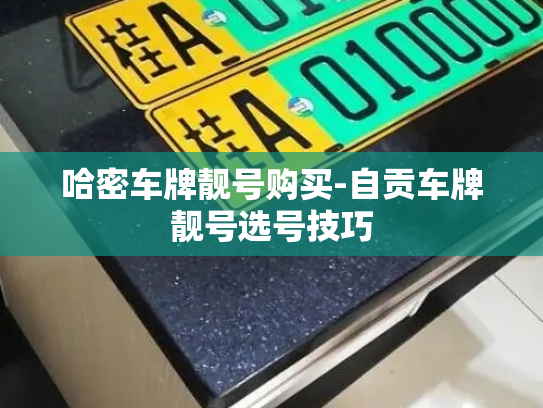 哈密车牌靓号购买-自贡车牌靓号选号技巧-第2张图片-七号汽车选号