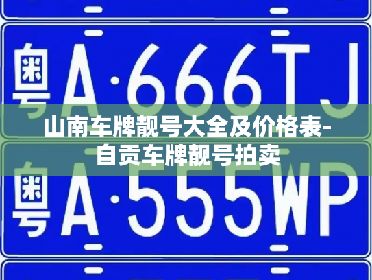 山南车牌靓号大全及价格表-自贡车牌靓号拍卖-第3张图片-七号汽车选号 山南车牌靓号大全及价格表-自贡车牌靓号拍卖-第3张图片-七号汽车选号