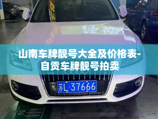 山南车牌靓号大全及价格表-自贡车牌靓号拍卖-第4张图片-七号汽车选号 山南车牌靓号大全及价格表-自贡车牌靓号拍卖-第4张图片-七号汽车选号