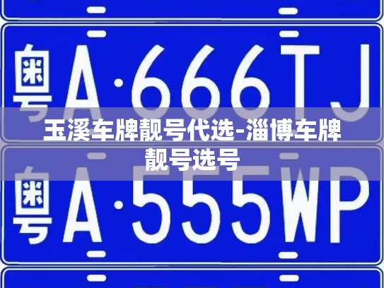 玉溪车牌靓号代选-淄博车牌靓号选号-第3张图片-七号汽车选号 玉溪车牌靓号代选-淄博车牌靓号选号-第3张图片-七号汽车选号