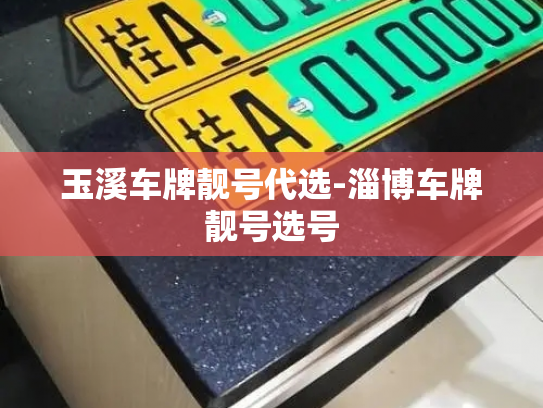 玉溪车牌靓号代选-淄博车牌靓号选号-第2张图片-七号汽车选号 玉溪车牌靓号代选-淄博车牌靓号选号-第2张图片-七号汽车选号