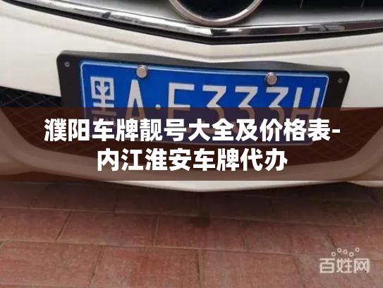 濮阳车牌靓号大全及价格表-内江淮安车牌代办-第3张图片-七号汽车选号