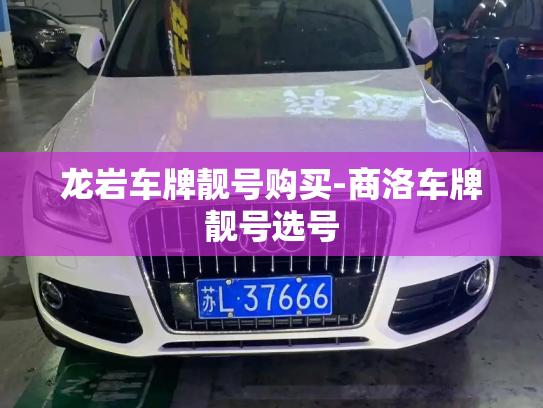 龙岩车牌靓号购买-商洛车牌靓号选号-第4张图片-七号汽车选号 龙岩车牌靓号购买-商洛车牌靓号选号-第4张图片-七号汽车选号