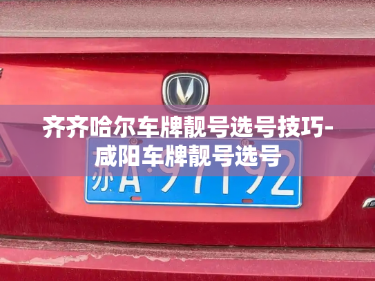 齐齐哈尔车牌靓号选号技巧-咸阳车牌靓号选号-第3张图片-七号汽车选号 齐齐哈尔车牌靓号选号技巧-咸阳车牌靓号选号-第3张图片-七号汽车选号