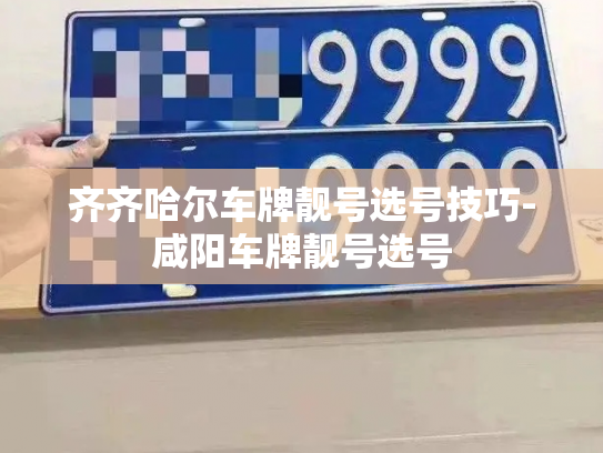 齐齐哈尔车牌靓号选号技巧-咸阳车牌靓号选号-第2张图片-七号汽车选号 齐齐哈尔车牌靓号选号技巧-咸阳车牌靓号选号-第2张图片-七号汽车选号