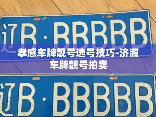 孝感车牌靓号选号技巧-济源车牌靓号拍卖-第2张图片-七号汽车选号 孝感车牌靓号选号技巧-济源车牌靓号拍卖-第2张图片-七号汽车选号