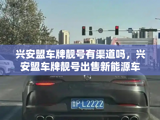兴安盟车牌靓号有渠道吗，兴安盟车牌靓号出售新能源车-第2张图片-七号汽车选号