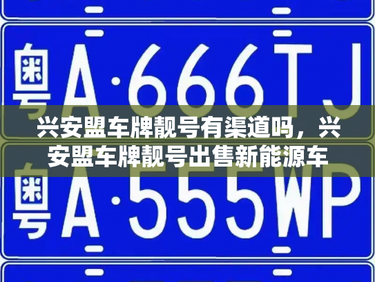 兴安盟车牌靓号有渠道吗，兴安盟车牌靓号出售新能源车-第3张图片-七号汽车选号