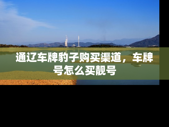 通辽车牌豹子购买渠道，车牌号怎么买靓号