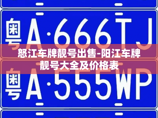 怒江车牌靓号出售-阳江车牌靓号大全及价格表-第3张图片-七号汽车选号