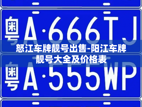 怒江车牌靓号出售-阳江车牌靓号大全及价格表-第4张图片-七号汽车选号