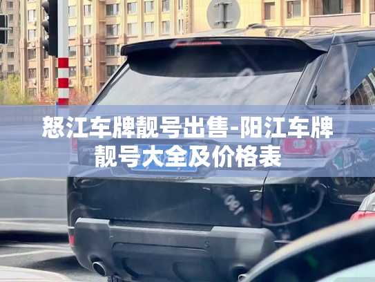 怒江车牌靓号出售-阳江车牌靓号大全及价格表-第2张图片-七号汽车选号