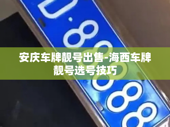 安庆车牌靓号出售-海西车牌靓号选号技巧-第3张图片-七号汽车选号 安庆车牌靓号出售-海西车牌靓号选号技巧-第3张图片-七号汽车选号