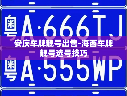 安庆车牌靓号出售-海西车牌靓号选号技巧-第4张图片-七号汽车选号 安庆车牌靓号出售-海西车牌靓号选号技巧-第4张图片-七号汽车选号