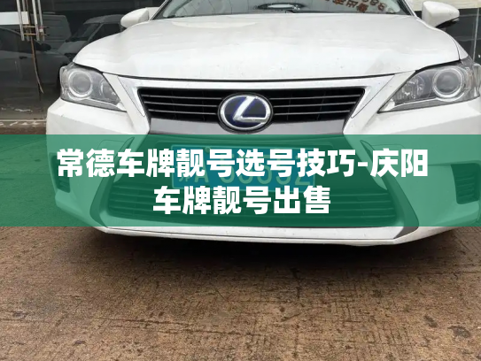 常德车牌靓号选号技巧-庆阳车牌靓号出售-第2张图片-七号汽车选号 常德车牌靓号选号技巧-庆阳车牌靓号出售-第2张图片-七号汽车选号