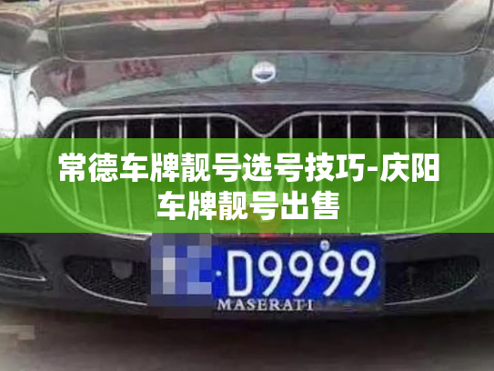 常德车牌靓号选号技巧-庆阳车牌靓号出售-第1张图片-七号汽车选号 常德车牌靓号选号技巧-庆阳车牌靓号出售-第1张图片-七号汽车选号