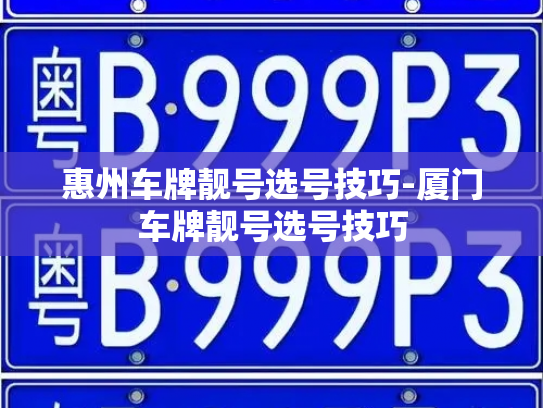 惠州车牌靓号选号技巧-厦门车牌靓号选号技巧-第3张图片-七号汽车选号 惠州车牌靓号选号技巧-厦门车牌靓号选号技巧-第3张图片-七号汽车选号