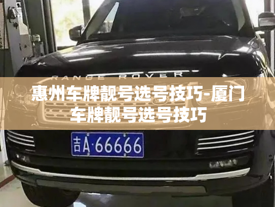 惠州车牌靓号选号技巧-厦门车牌靓号选号技巧-第4张图片-七号汽车选号 惠州车牌靓号选号技巧-厦门车牌靓号选号技巧-第4张图片-七号汽车选号