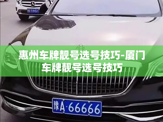 惠州车牌靓号选号技巧-厦门车牌靓号选号技巧-第2张图片-七号汽车选号 惠州车牌靓号选号技巧-厦门车牌靓号选号技巧-第2张图片-七号汽车选号