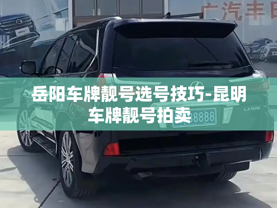 岳阳车牌靓号选号技巧-昆明车牌靓号拍卖-第3张图片-七号汽车选号 岳阳车牌靓号选号技巧-昆明车牌靓号拍卖-第3张图片-七号汽车选号