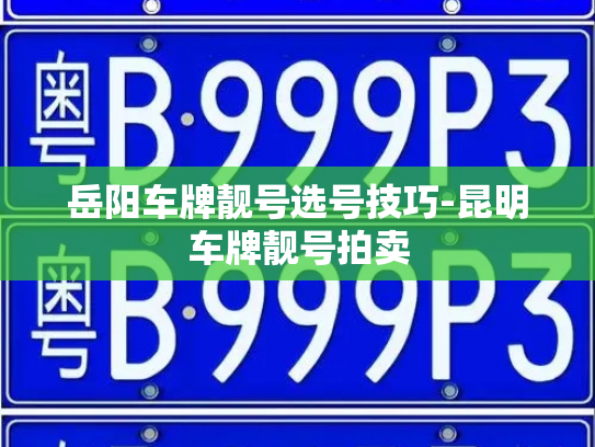 岳阳车牌靓号选号技巧-昆明车牌靓号拍卖-第4张图片-七号汽车选号 岳阳车牌靓号选号技巧-昆明车牌靓号拍卖-第4张图片-七号汽车选号
