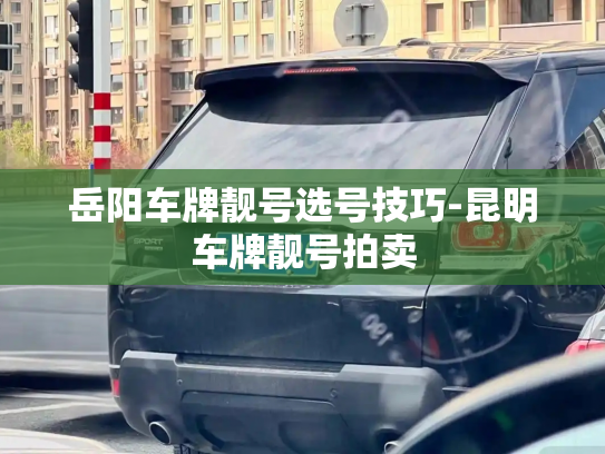 岳阳车牌靓号选号技巧-昆明车牌靓号拍卖-第2张图片-七号汽车选号 岳阳车牌靓号选号技巧-昆明车牌靓号拍卖-第2张图片-七号汽车选号