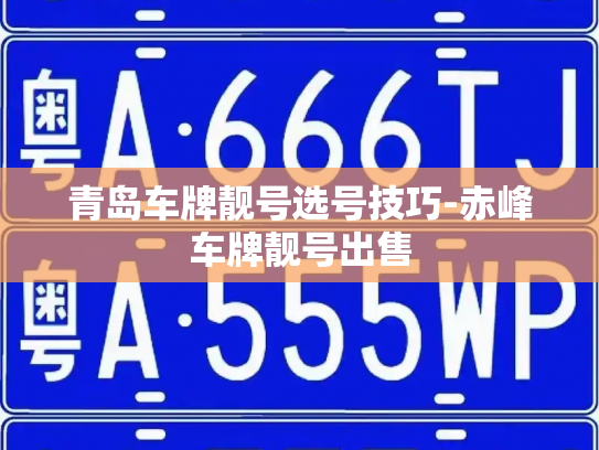 青岛车牌靓号选号技巧-赤峰车牌靓号出售-第3张图片-七号汽车选号